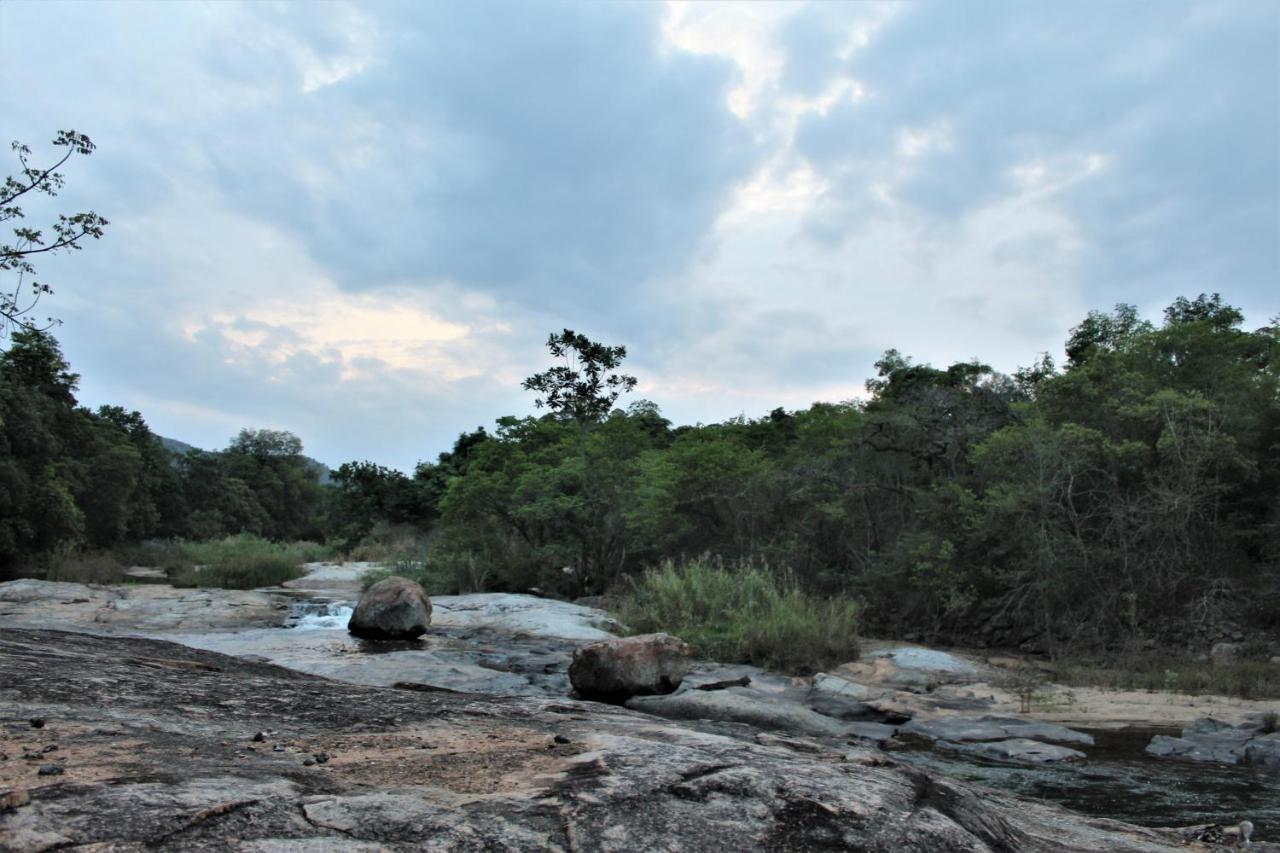 Lions Rock Rapids - Luxury Tented Camp Hazyview Buitenkant foto