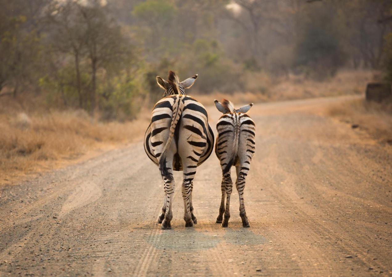 Lions Rock Rapids - Luxury Tented Camp Hazyview Buitenkant foto